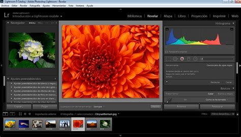 Adobe Lightroom 2025 Free Download Options
